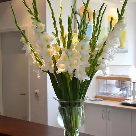 Отель Sulzbacher Hof