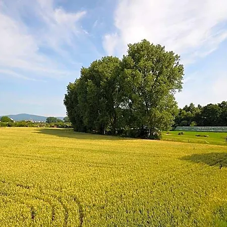 Hotel Landhotel Sulzbacher Hof 3*