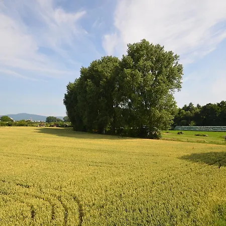 Sulzbacher Hof זולצבאך
