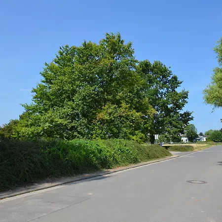 Sulzbacher Hof זולצבאך