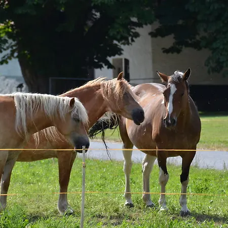 מלון Sulzbacher Hof 3*