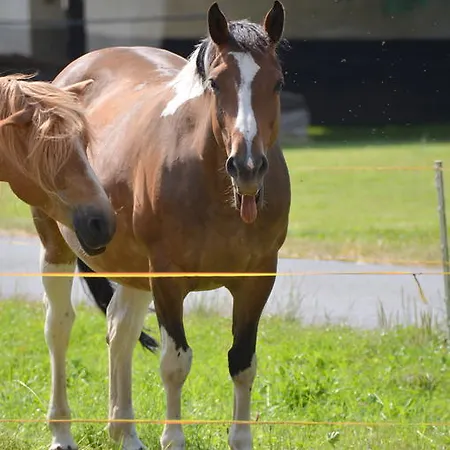 Отель Sulzbacher Hof Зульцбах