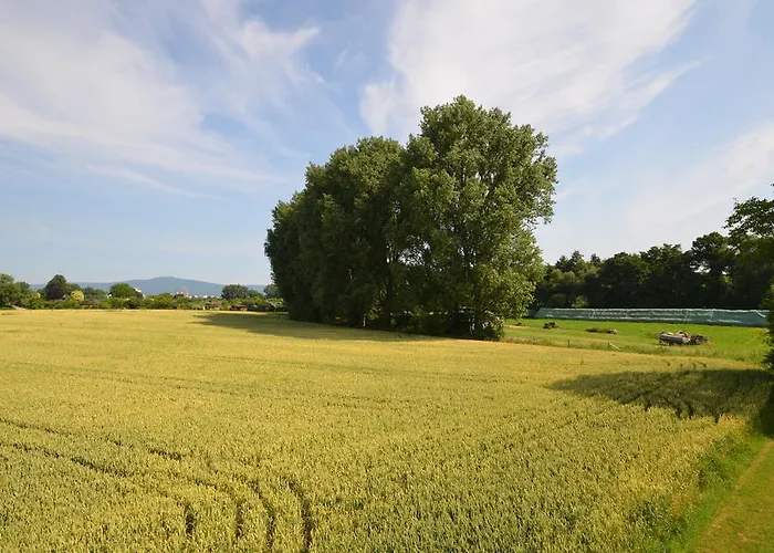 Sulzbacher Hof 술츠바흐