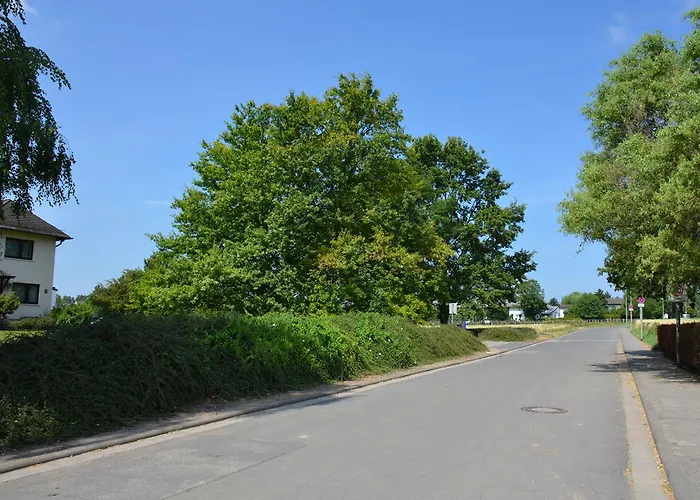 Sulzbacher Hof Sulzbach (Hessen)