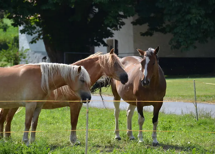 호텔 Sulzbacher Hof 3*