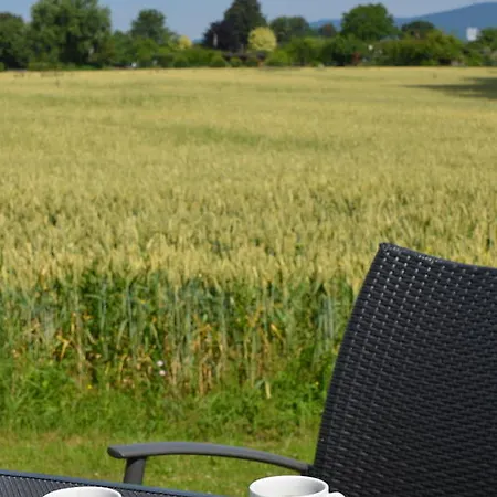 Hotel Landhotel Sulzbacher Hof Sulzbach (Hessen)